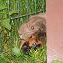 Ist die Luft rein ? Chila + Diana