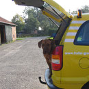 Einer muß ja Robert`s neues Auto bewachen ! Gina