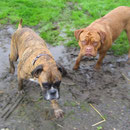 So ein Schlam(m)assel ! Kira + Yuma