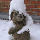 Winter Jan.2010 !