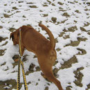 Was ist denn das ? Yuma`s 1. Schnee