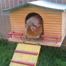 My sweet home ! Barney
