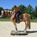 ...... braves Pony *g*!