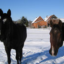 Winter 2010