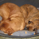 Kaputt gespielt ! Yuma+ Freundin Kira