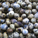 Viele, viele, bunte Smarties....! Wachteleier