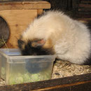 ....hmm lecker ! Murphy, Okt.`14