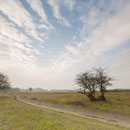 Landschap in het ochtendlicht
