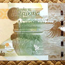 Botswana 50 pulas 2009 reverso