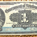 Terranova 1 dólar 1920 anverso