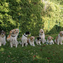 7 Kromis, 2 Kromi-Mixe,  Juni 2011