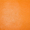 Reinbow 2517 ORANGE