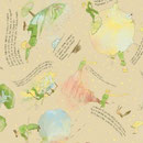 Petit_Prince_002