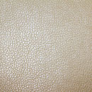 Reinbow 2515 BEIGE