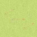 Olive_12