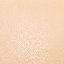 Reinbow 2513 LIGHT BEIGE