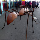 Art Karlsruhe 2015