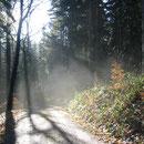 Herbstimpressionen am Weberberg