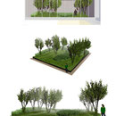 PARIS 9ème/ Aménagement de 3 patios sur dalle - Immeuble rue de Londres / 2013 / AXA / Mandataire : BJA Architectes /  Surface : 350m2 / Budget : 190 000€ HT / Mission : Complète - LFDP : B.POURRAIN