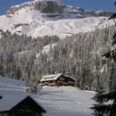 Waldesruh