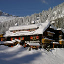 Waldesruh im Winter