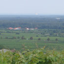 Schöner Blick