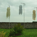 Heike Lunkwitz: Spiel mit dem Wind