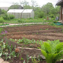 Lenas Garten Frühjahr 2012