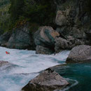 upper Puelo