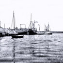 Le port Jolliet à baie Ellis. Le SS Savoy et l' Alpha (à droite) sont amarrés.