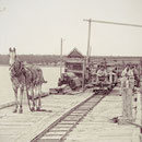 Quai de la baie Ellis, 1900