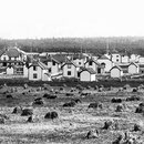Baie Ste-Claire, 1901, la moisson