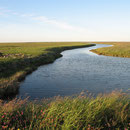 Hallig Flieth