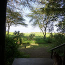 am Lake Eyasi