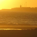 CONIL DE LA FRONTERA CADIZ ANDALUCIA