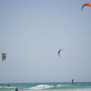 CONIL DE LA FRONTERA CADIZ ANDALUCIA