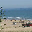 CONIL DE LA FRONTERA CADIZ ANDALUCIA
