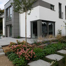 Klimaresilienter Moderner Pool Wohngarten I Bonn