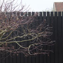 Konzeption Sichtschutzwand Privatgarten I Sankt Augustin
