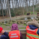 Besuch des Zoo in der Wingst © FF-Duhnen-Stickenbüttel