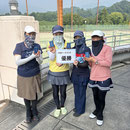 チェリーブロッサム