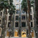 La Place des Palmiers