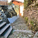 Piodina