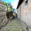 Piodina