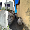 Piodina