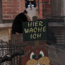 Ohne Worte ! Zoey
