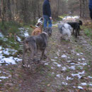 Dann geht`´s los in den Wald .......