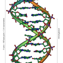 DNA als Grafik