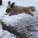 Noisette, la vie est belle