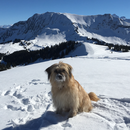 Sira: magnifique le printemps dans les hautes montagnes suisses / Frühling in den Bergen